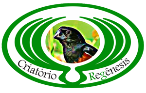 logotipo.png (66 KB)